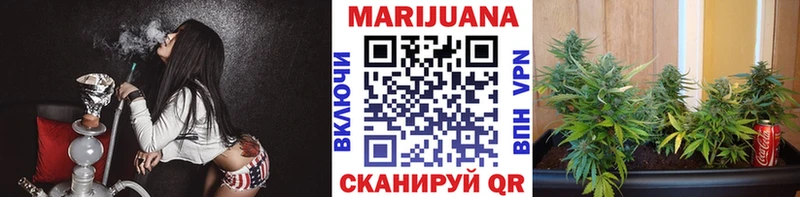 это телеграм  Светлоград  Шишки марихуана план 
